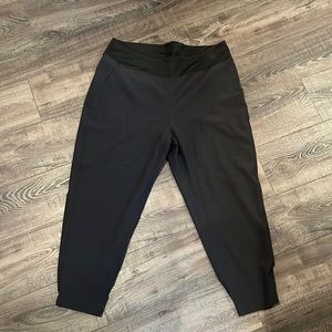 Patagonia Women's Black Skinny Nylon Tapered Leg Flat Front Pant Lined XL